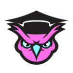 Owl Icon